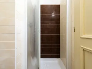 Prodej bytu 2+1, Praha - Žižkov, Bořivojova, 77 m2