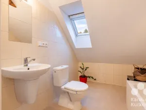 Pronájem rodinného domu, Káraný, K Přívozu, 165 m2