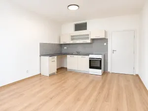 Prodej bytu 1+1, Brno, Došlíkova, 52 m2