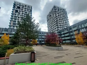 Pronájem bytu 1+kk, Praha - Žižkov, Olšanská, 33 m2