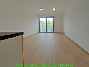 Pronájem bytu 1+kk, Praha - Žižkov, Olšanská, 33 m2