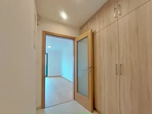 Pronájem bytu 1+kk, Praha - Žižkov, Olšanská, 33 m2