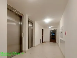 Pronájem bytu 1+kk, Praha - Žižkov, Olšanská, 33 m2