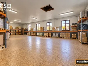 Prodej rodinného domu, Krnov, Krásné Loučky, 442 m2