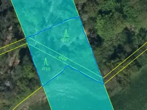 Prodej lesa, Ostřetín - Vysoká u Holic, 869 m2