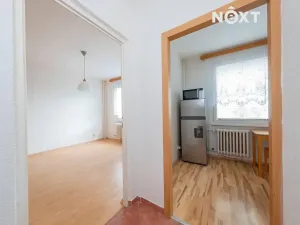 Pronájem bytu 1+1, Heřmanův Městec, V Lukách, 34 m2