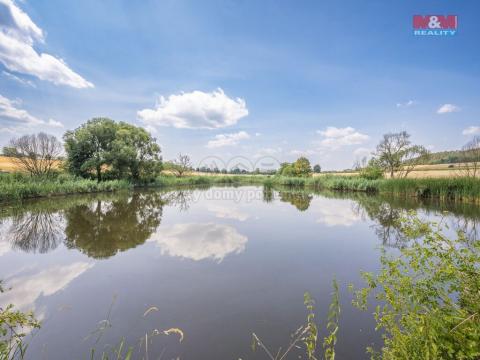 Prodej rybníku, Nalžovice, 7516 m2