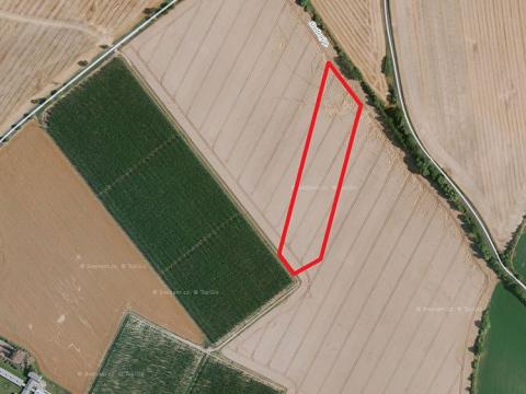 Prodej zemědělské půdy, Chotiněves, 2255 m2
