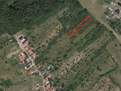 Prodej zemědělské půdy, Pašovice, 748 m2