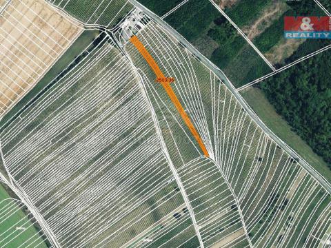 Prodej zemědělské půdy, Dolní Bojanovice, 2497 m2