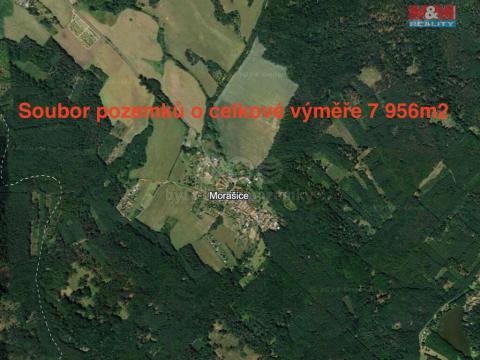 Prodej zemědělské půdy, Morašice, 7956 m2