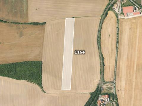 Prodej zemědělské půdy, Stehelčeves, 12588 m2