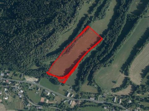 Prodej trvalého travního porostu, Vernířovice, 35738 m2