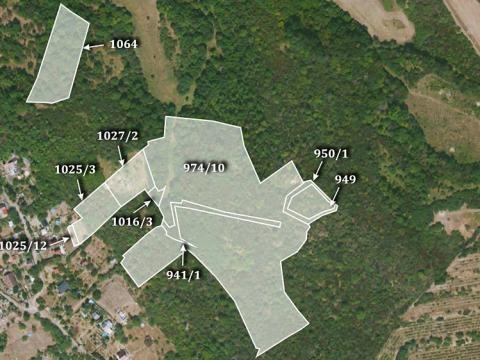 Prodej trvalého travního porostu, Velké Žernoseky, 41967 m2