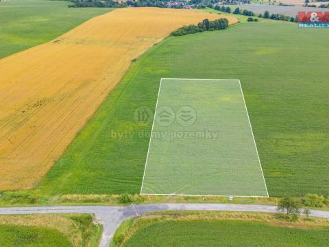 Prodej zemědělské půdy, Horní Bělá, 5000 m2