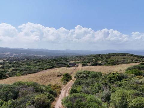 Prodej zemědělské půdy, Santa Teresa Gallura, Sardinie, Itálie, 81812 m2