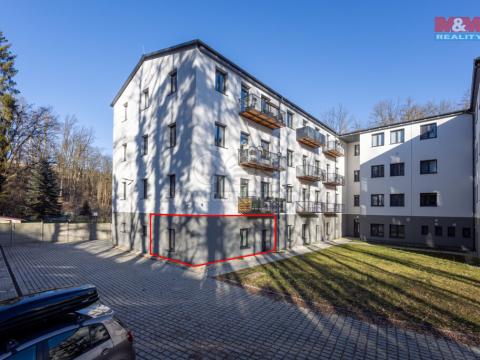 Pronájem obchodního prostoru, Cheb, Břehnická, 45 m2