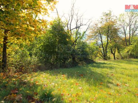 Prodej trvalého travního porostu, Žandov - Radeč, 3251 m2