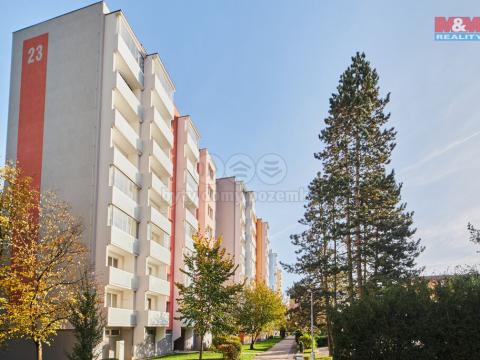 Prodej bytu 2+kk, České Budějovice - České Budějovice 2, Dlouhá, 39 m2