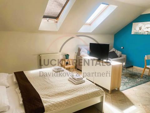 Pronájem bytu 1+kk, Praha - Nové Město, Legerova, 38 m2