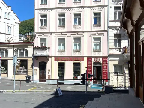 Prodej atypického bytu, Karlovy Vary, Zámecký vrch, 90 m2