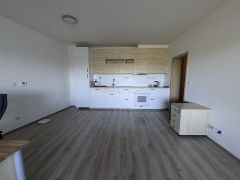 Prodej bytu 1+kk, Moravany, Jabloňová, 44 m2