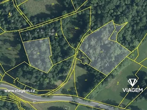 Prodej podílu lesa, Vrbatův Kostelec, 873 m2