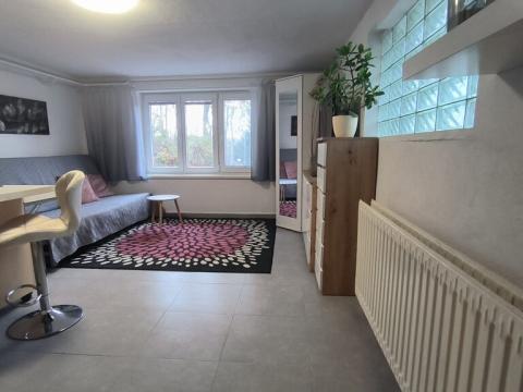 Pronájem bytu 1+kk, Ivančice, K Pekárce, 30 m2