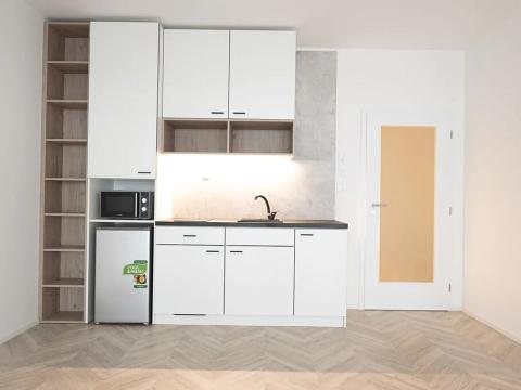 Pronájem bytu 1+kk, Brno, Cejl, 40 m2