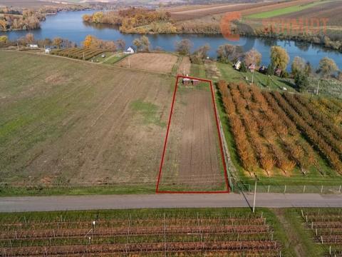 Prodej sadu/vinice, Velké Bílovice, U Rybníka, 2791 m2