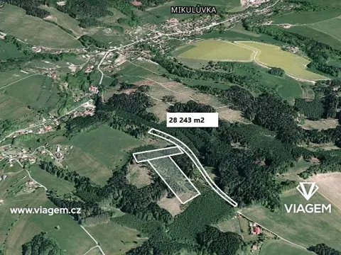 Prodej lesa, Mikulůvka, 28243 m2