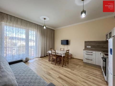 Pronájem bytu 1+kk, Mariánské Lázně, Chebská, 29 m2