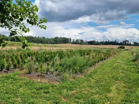 Prodej komerčního pozemku, Štoky, 23400 m2