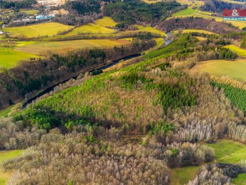 Prodej lesa, Dolní Třebonín - Štěkře, 1257 m2