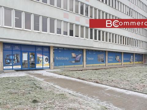 Pronájem obchodního prostoru, Brno, Veveří, 501 m2