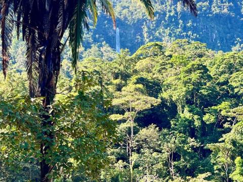 Prodej rodinného domu, La Ceiba, Honduras, 4080 m2