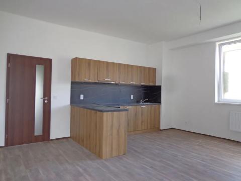 Pronájem bytu 3+kk, Ústí nad Labem, Purkyňova, 90 m2