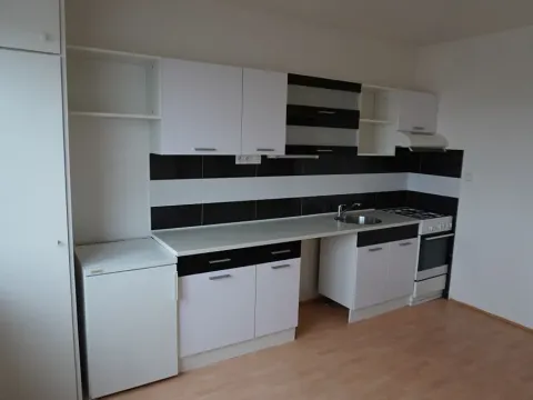 Prodej bytu 1+1, Ostrov, Lidická, 37 m2