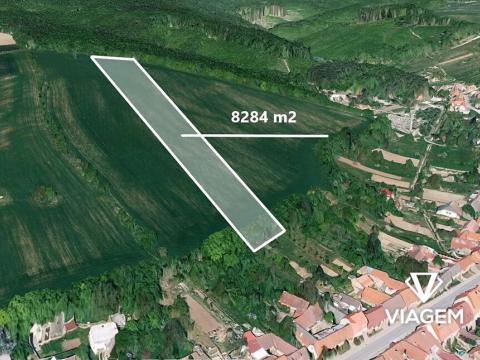 Prodej podílu pole, Lovčice, 4142 m2