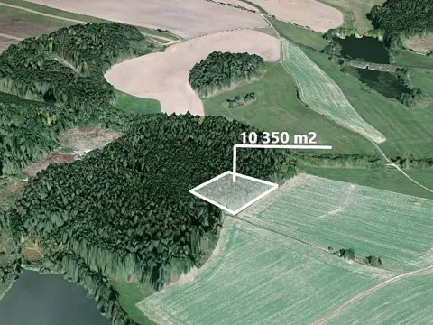 Prodej podílu lesa, Kardašova Řečice, 1150 m2