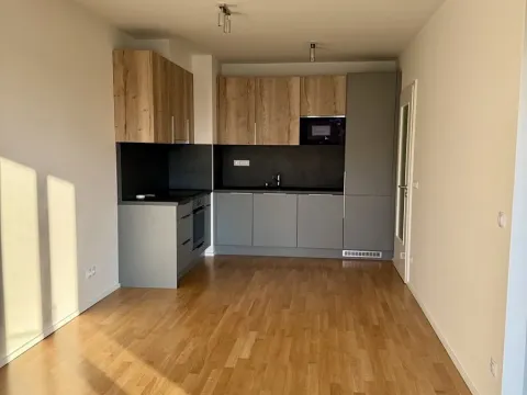 Pronájem bytu 2+kk, Praha - Žižkov, U Viktorie, 46 m2