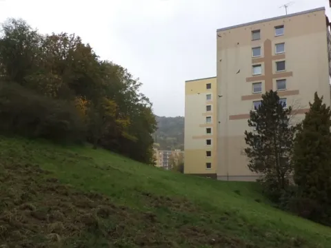 Dražba louky, Ústí nad Labem, 14780 m2