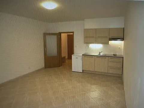 Pronájem bytu 1+kk, Praha - Stodůlky, Petržílkova, 28 m2