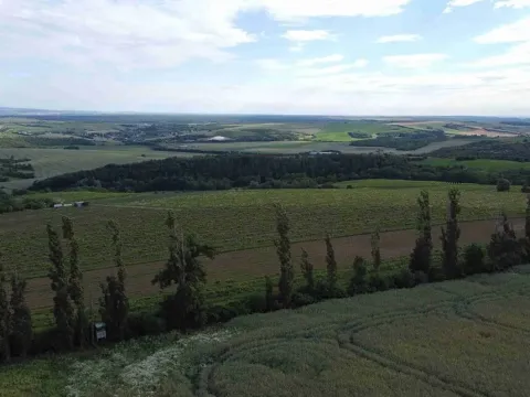 Dražba louky, Újezdec, 4351 m2