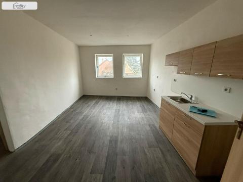 Pronájem bytu 2+1, Chabařovice, Nádražní, 49 m2