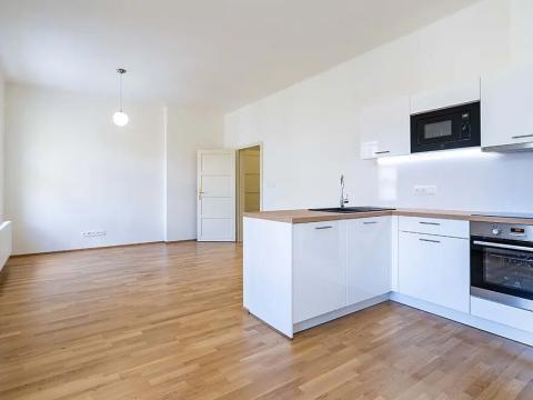Pronájem bytu 2+kk, Praha - Nové Město, Mlynářská, 57 m2