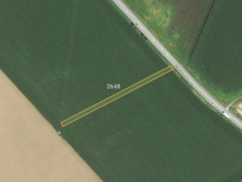 Prodej pole, Velešovice, 41802 m2