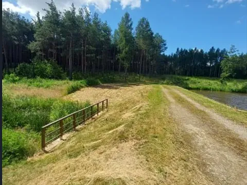 Pronájem rybníku, Hostim, 35820 m2