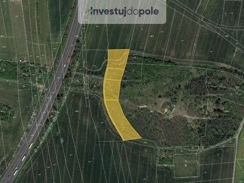 Prodej louky, Brodce, 10491 m2
