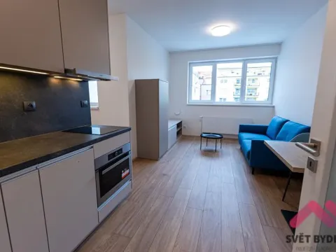 Pronájem bytu 1+kk, Praha - Holešovice, V háji, 40 m2